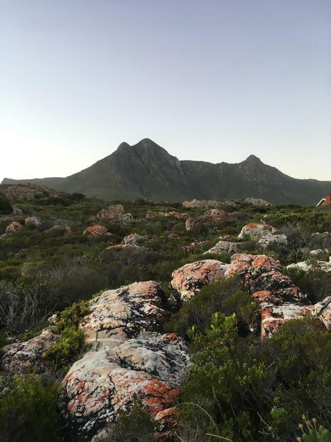Rondawel With Sea View Apartman Kleinmond Kültér fotó
