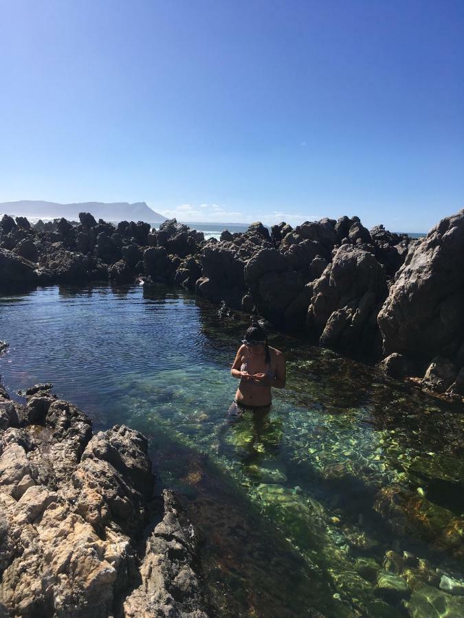 Rondawel With Sea View Apartman Kleinmond Kültér fotó